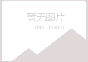 河池新波运输有限公司